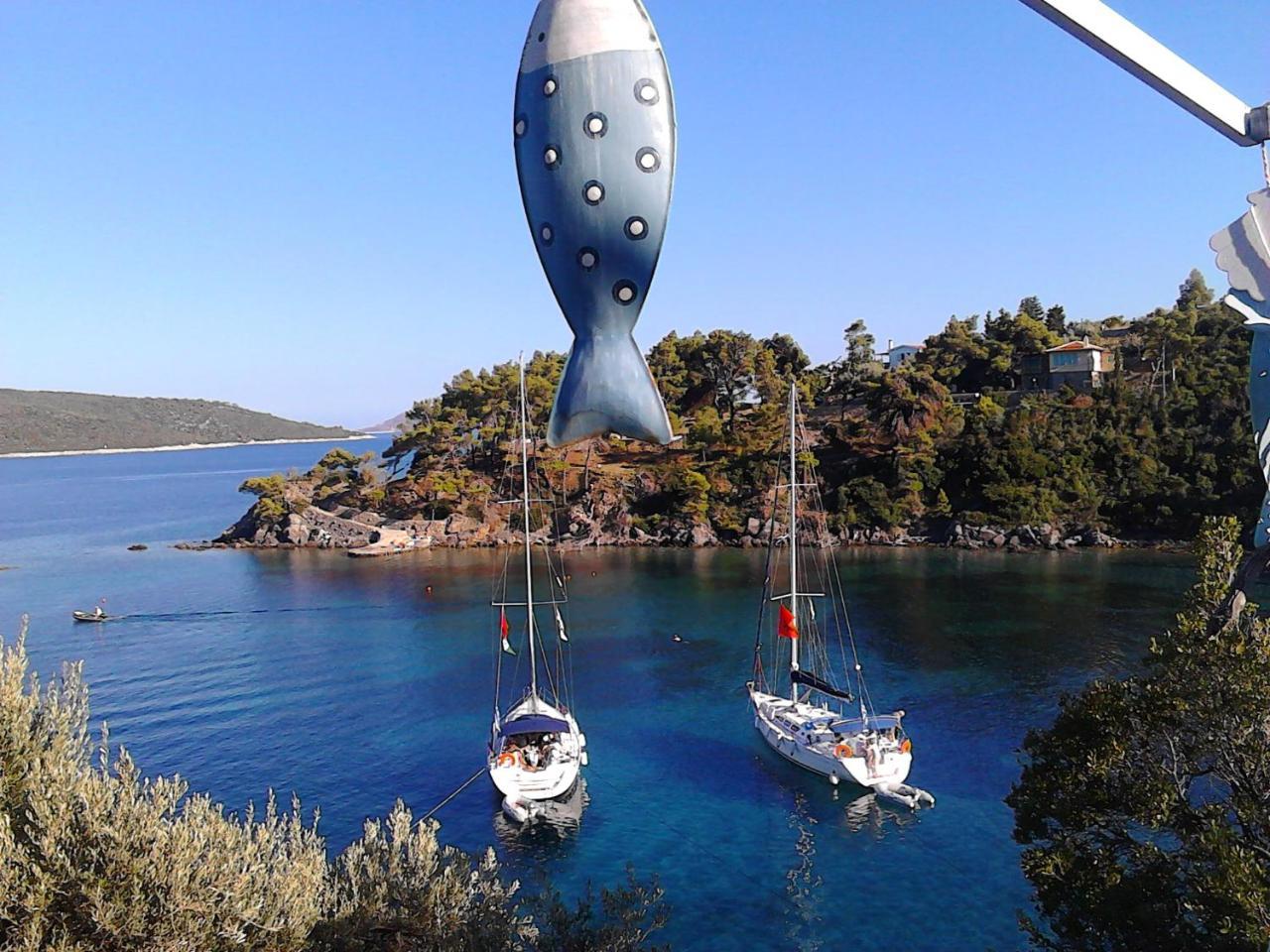 Odyssia Near The Seaside Apartment Agios Petros  Exterior foto