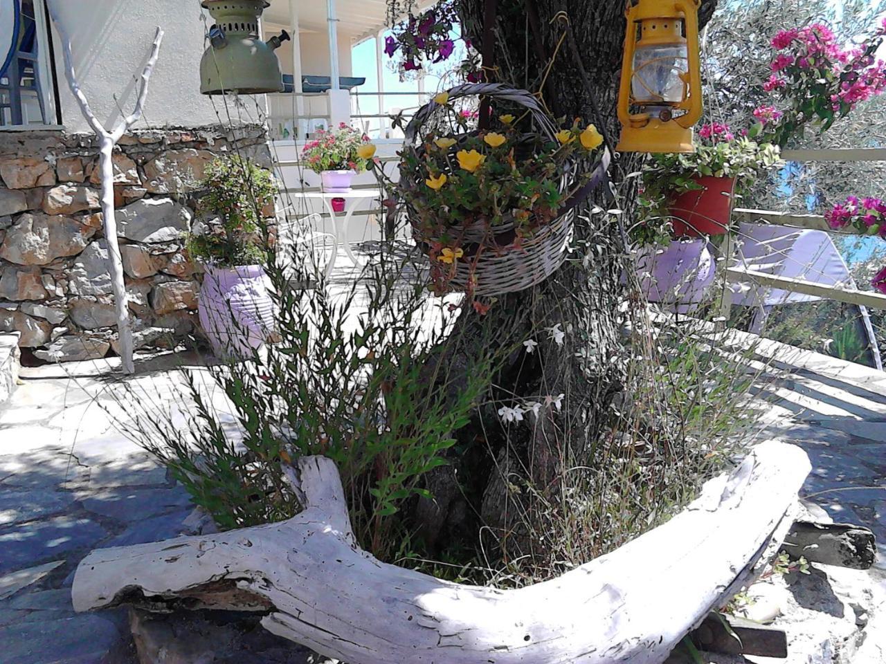 Odyssia Near The Seaside Apartment Agios Petros  Exterior foto